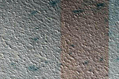 Monitoring Dune Source in West Olympia