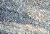 Gully Monitoring