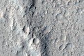 Pitted Cones and Related Terrain in Amazonis Planitia