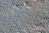 Terrain Sample