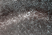 Terrain Sample