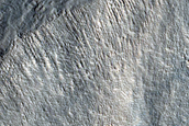 Surface Stratigraphy near Gullies