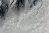 Terrain Sample