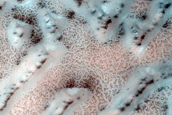 Dunes Dubbed Hagal