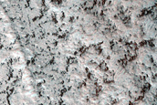 North Polar Layer Exposure