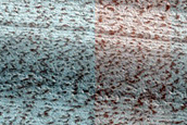 Exposure of North Polar Layered Deposits