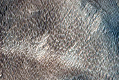 Pavonis Sulci