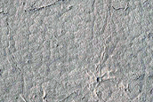 Possible Rock Falls on Steep Slopes in Cerberus Fossae
