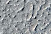 Terrain Sample