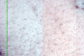 North Polar Dunes