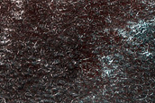 Terrain Sample