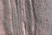 Terrain Sample