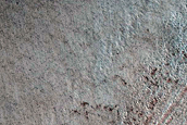 Terrain Sample