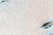 West Olympia Region Dune Ice Interaction