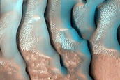 Monitoring Dunes in Lyot Crater