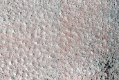 Terrain Sample
