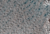 Terrain Sample