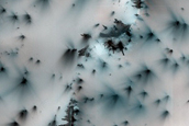 Terrain Sample