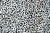 Terrain Sample