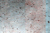 Terrain Sample