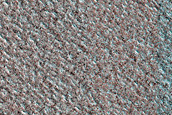 Terrain Sample