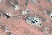 Terrain Sample