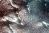 Terrain Sample