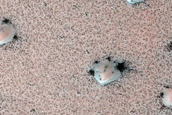 Terrain Sample