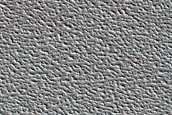 Terrain Sample