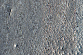 Impact Monitoring in Arcadia Planitia