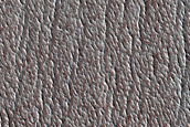 Terrain Sample