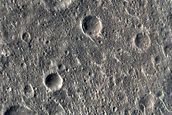 Terrain Sample