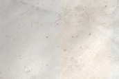 Terrain Sample
