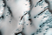 Terrain Sample