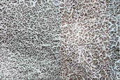 Terrain Sample