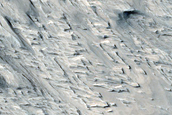 Terrain Sample