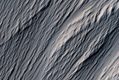 Terrain Sample