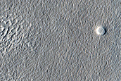 Albedo Monitoring in Arcadia Planitia