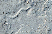Margin of Cerberus Tholi