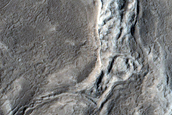 Irregular Cellular Structures around Crater in Arabia Terra