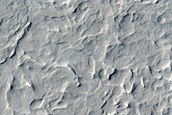 Floor of Vernal Crater
