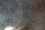 Gully Monitoring