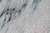 Terrain Sample