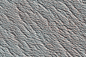 Terrain Sample