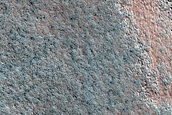 Terrain Sample