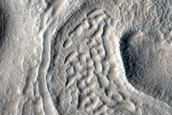 Irregular Cellular Structures around Crater in Terra Sabaea
