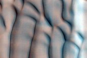 Dune Monitoring in Lomonosov Crater