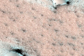 Terrain Sample
