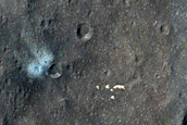 Candidate New Impact Crater