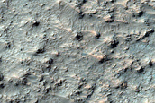 Mafic Minerals on Terra Tyrrhena Crater Floor